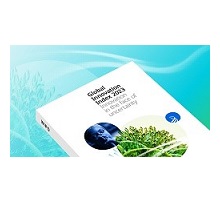 Índice Global de Inovação (IGI) 2023