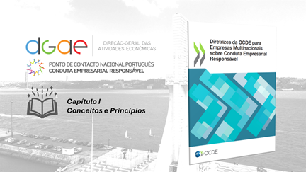 Video Tutorial capitulo I das diretrizes