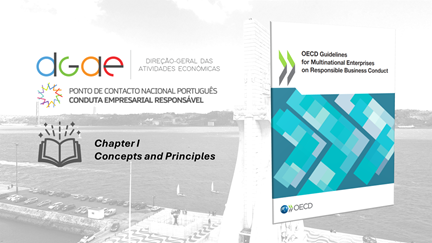 Tutorial Video chapter I guidelines