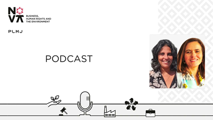 28th Episode of the NOVA BHRE Podcast