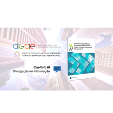 Diretrizes da OCDE: Capítulo III