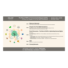 workshop sobre o papel dos PCN na Responsabilidade Ambiental