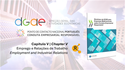Tutorial Video on Chapter V of the OECD Guidelines for Multinacional Enterprises on Responsible Busi