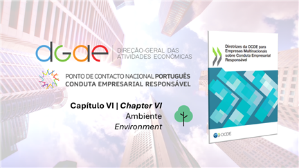 Vídeo Tutorial sobre o Capítulo VI das Diretrizes da OCDE para Empresas Multinacionais sobre Conduta
